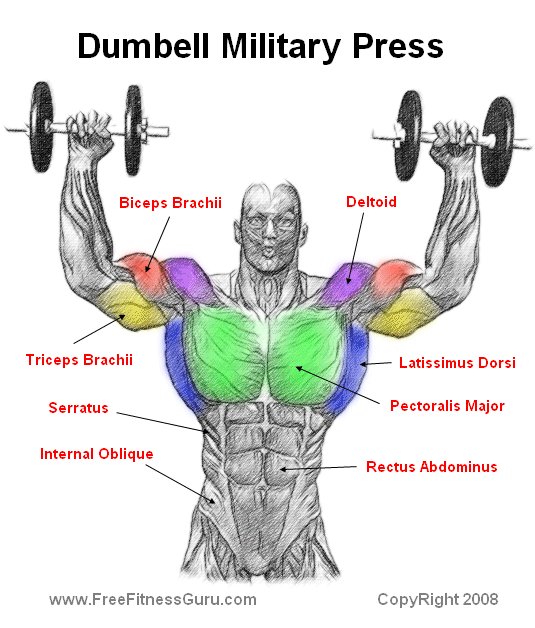 dumbell military press