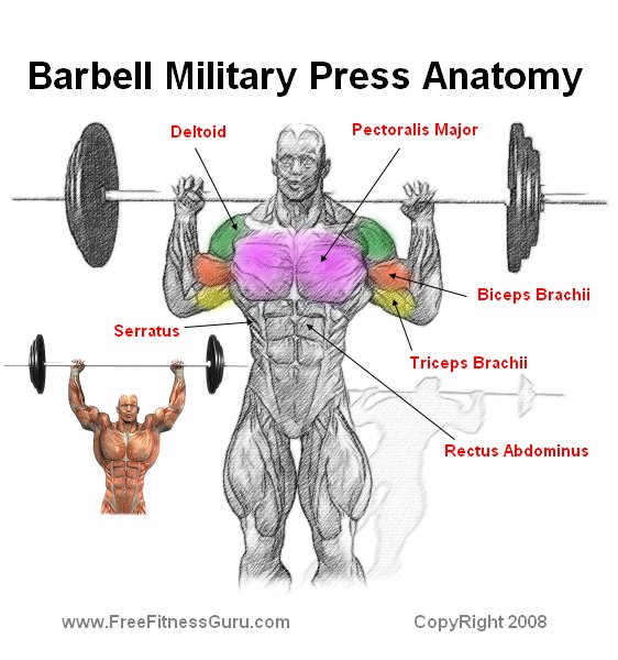 military press barbell