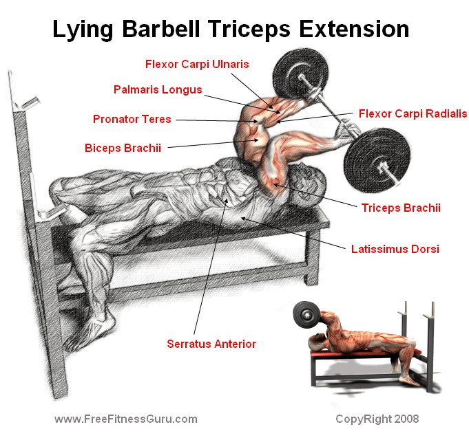 tricep extension lying