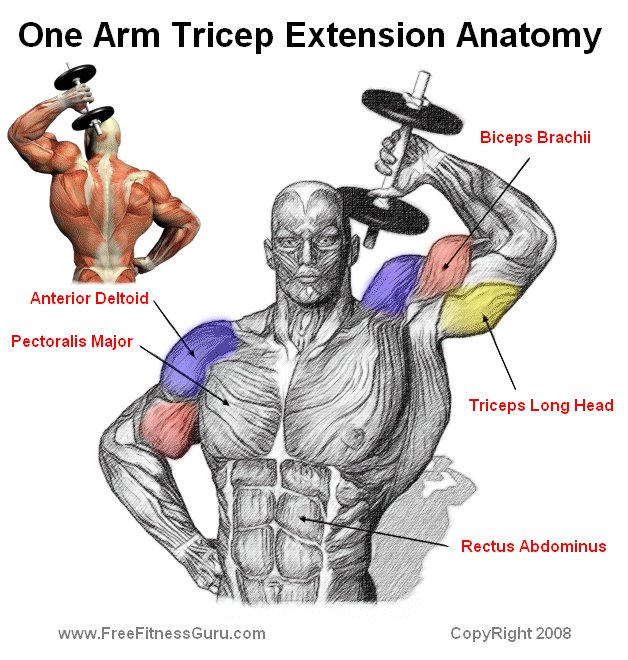 FreeFitnessGuru - One Arm Tricep Extension